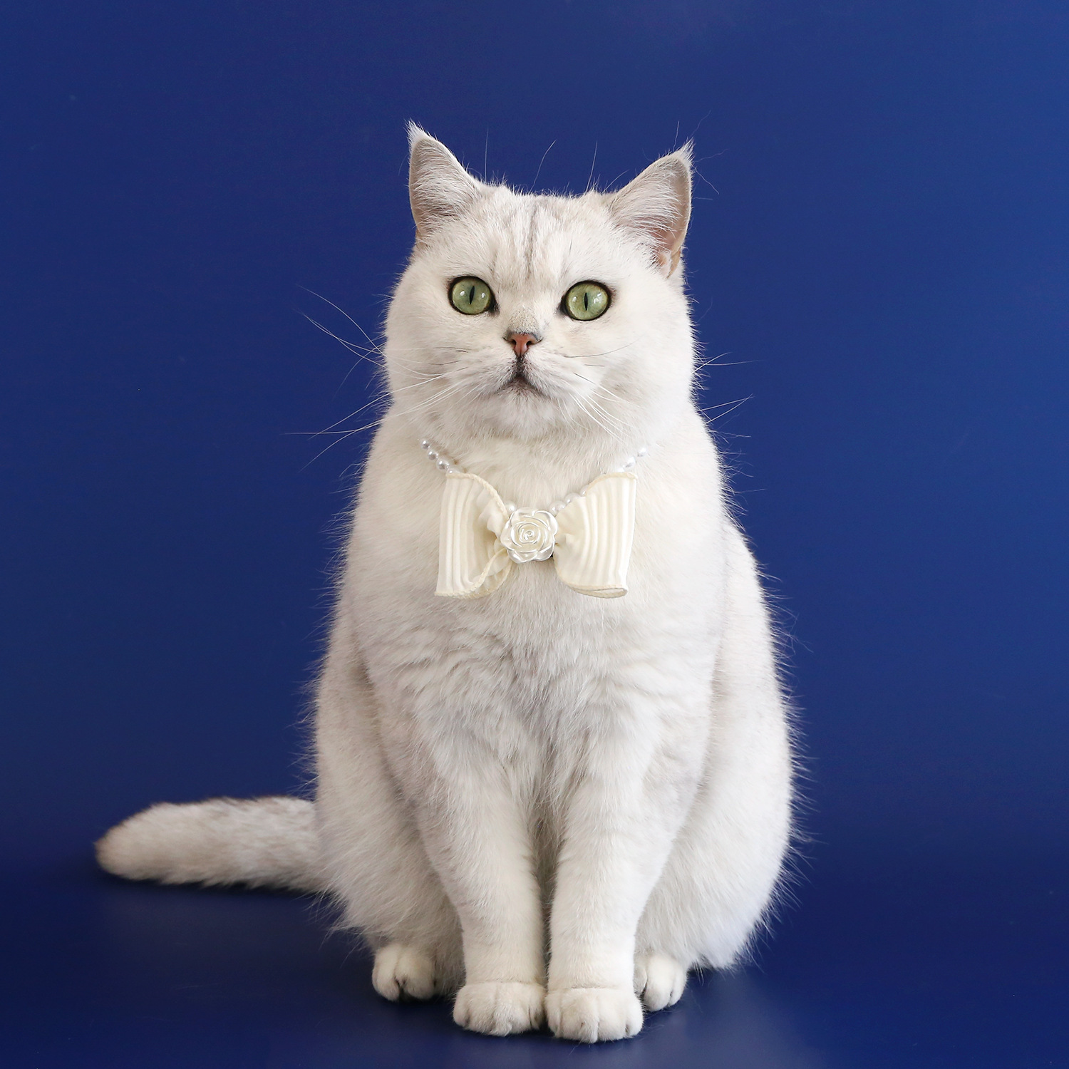 2024 mascotas perlas arco collar pequeño fragante camellia hilo corbata gatos perros accesorios collar princesa