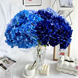 5�^ʯ�����ֹ����滨��c�b��ļҾӿ͏d�[����ˇ�廨���