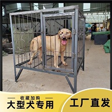 狗笼大型犬钢筋实心防咬抗造焊接加粗加固狗笼金毛拉布拉多狗笼子