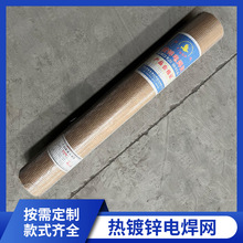 厂家直销镀锌铁丝网建筑网57丝*0.6cm孔抹灰网保温挂网电焊网