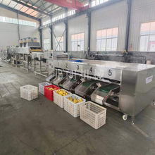 田螺挑选机 果蔬食品挑选设备 土豆分级机 荸荠分级机厂家