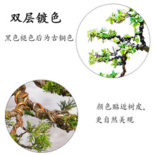 �辰���������X���@ˇܛ�F�z���Թ��ߘ䘶��֦�������������