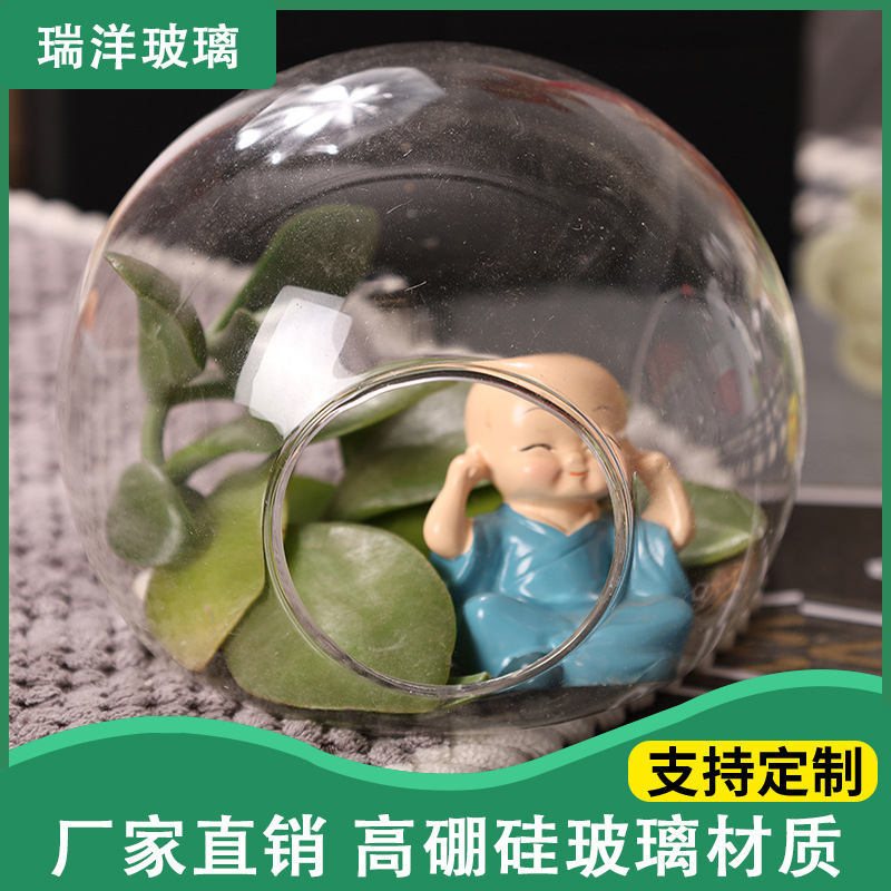 Home Decoration Swing Micro -Landscape Ecological Bottle Succulent…
