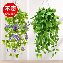 ����ֲ��ڒ�ٻ��ٗl�����Gֲ���m�҃ȵ�픴����b����ϾG�}���@