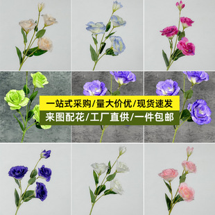 ��۹����滨��đ�o��õ�廨�ٻ��[�OҰ�����յ��߻�c�b��[��