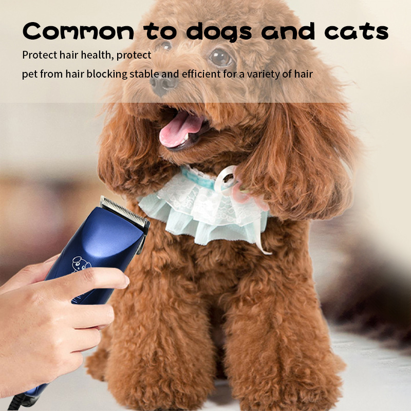 Cortapelo eléctrico para mascotas, mini, para perros y gatos, cuidado profesional