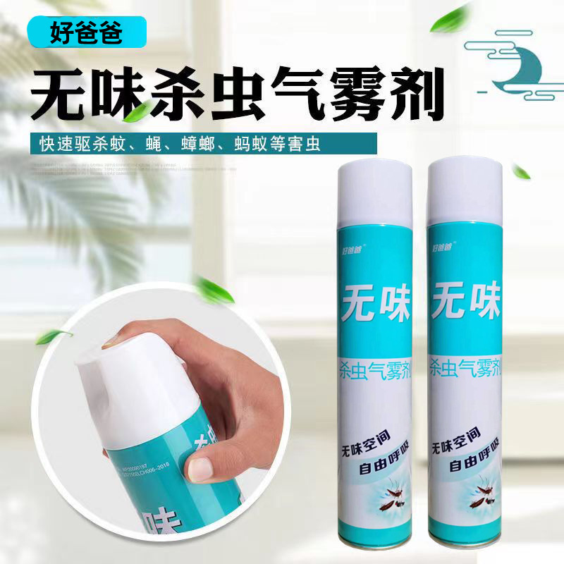 Insecticidal Aerosol Household Odorless Indoor Fragrance-Free Spray for Infants, Kidsren and Pregnant Women to Kill Flies and Mosquitoes