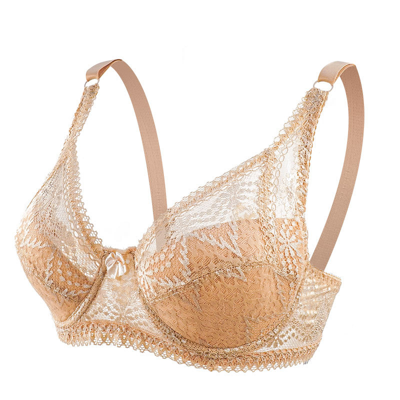 Ropa Interior Negra de encaje sexy de Europa y América push up transpirable Comercio exterior transfronterizo cómodo sujetador ajustable con anillo de acero image 10