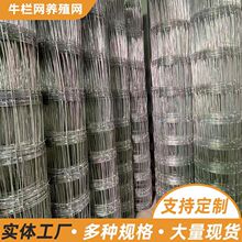 ��\�F�z�W�Bֳ���������B�\���W늺��W����@���o���l�F�z�W