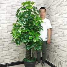 A里发财树仿真植物盆栽绿植塑料假树大型客厅落地假盆景装饰室内