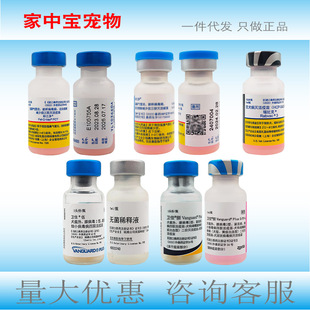 �x��������؈���l������5�l�Ѱư�8��Ȯ�ߌ���Ȯ؈����T�v�M��