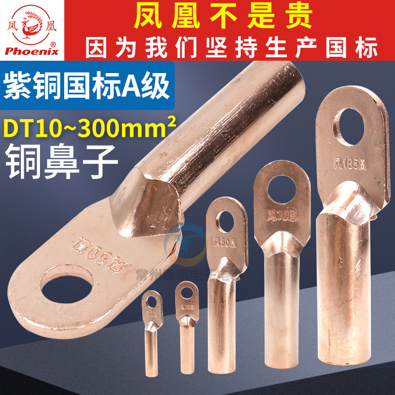 National standard phoenix copper nose DT terminal block oil type 10 connector 25 pressure wire copper nose 16 square