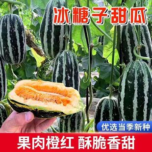 ������������ϷN�����������Ѵ����ļ�ͥԺ�̨����ˮ���N��