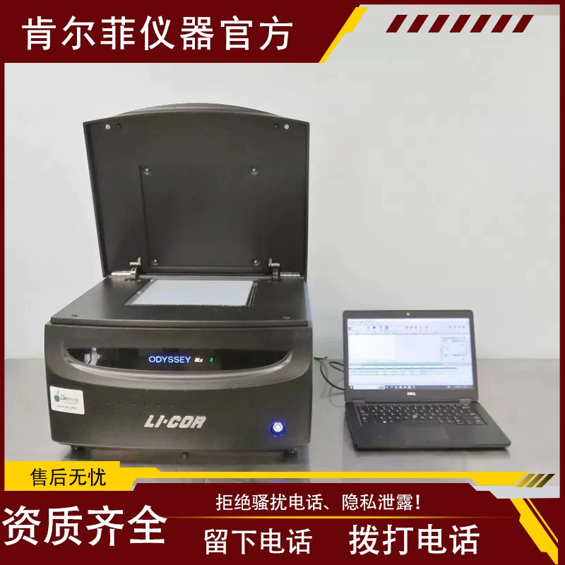 Система лазерной визуализации Odyssey DLx с двойным цветом и ближним инфракрасным излучением для анализа белков, платформа C-Digit