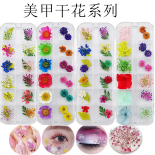 ���׸ɻ��NĘ�σ�ͯ���y�NĘ�Ʒ����Ę���N��С�r�������ۊy