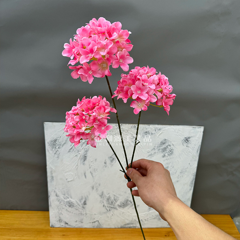 Snowflake wood hydrangea rose red