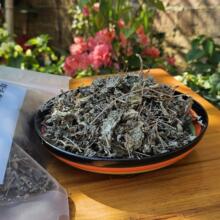 广西平乐纯野生藤茶莓茶新霉茶润咽喉苦甘露茶原叶茶包邮