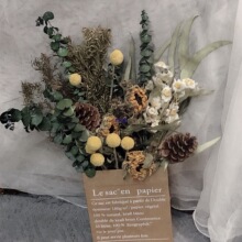 ��ʽ�l��ɻ���Ƥ�����M�������ȼ�����˹�����տ���ˇ�[��