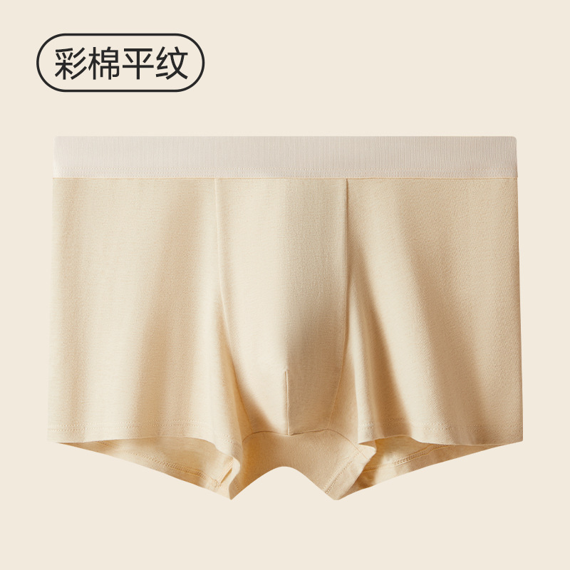 컬러 코튼 평직