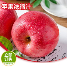 苹果浓缩汁 发酵果汁果蔬汁甜点饮品烘焙糕点添加苹果水果浓缩汁