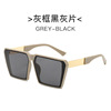 Fashionable trend sunglasses, glasses, 2023 collection