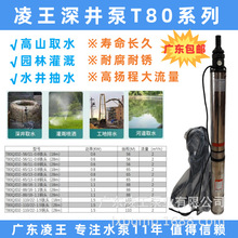 �㶫�������T80��ɽȡˮ�ȡˮ԰�ֹ��������ˮ