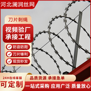 Blade Barbed Wire Anti-Climb Anti-Theft Rolling Blade Net Community Factory School Fence Hot-Dip Galvanized Blade Barbed Wire