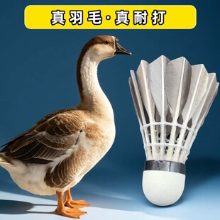 �Ӵ��Zë��ë��o���ʹ��נ��҃���Ӗ����ِͨ��1/3/6/12ֻ�b