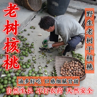 2024����؛ ���Ұ����ɽ�Ϙ�ɺ���ԭζ�����ЋD�Թ� �Ǳ�Ƥ��Ƥ