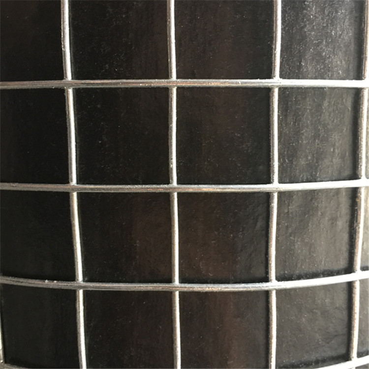 厂家批发 铁丝网 浸塑电焊网 养殖网 围栏网 鸡围网 荷兰网