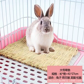 兔子窝、笼;鸟笼;其他小宠用品