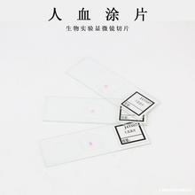 生物切片人体四大组织装片动植物细胞切片生物实验显微镜观垒德株