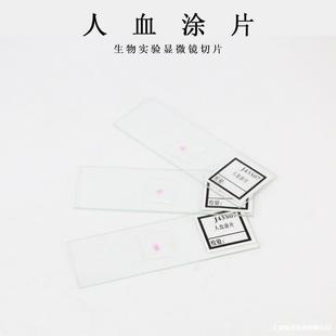 ������Ƭ���w�Ĵ�M���bƬ��ֲ�：����Ƭ�����@΢�R�^������