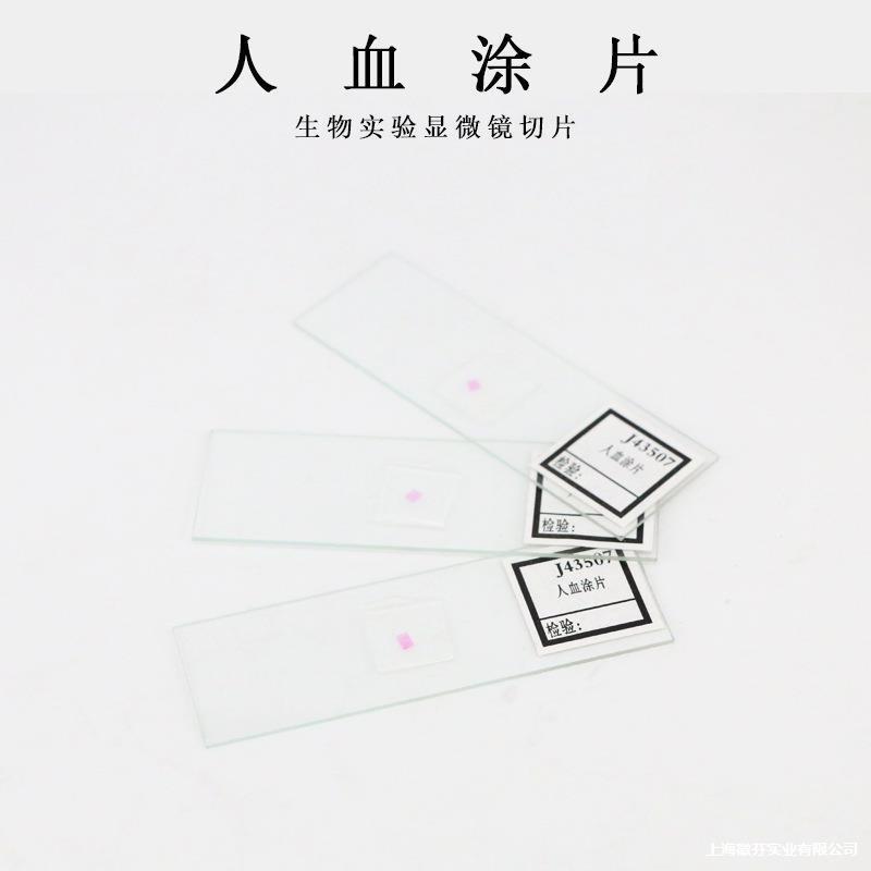 生物切片人体四大组织装片动植物细胞切片生物实验显微镜观垒德株