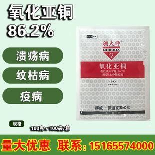 �~�� 86.2%�������~ ���� ˪ù�� �y�ݲ� ������100��