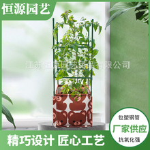 ���t�����ѷNֲ���N���S�϶��Ǽ���ֲ�ﻨ���̨����֧��֧�ΗU