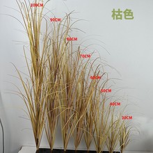 �ݲ�ɫ�����֧�JȔ���[�ݼٲݼҾ�ͥԺ�b��쾰�@�־��^���