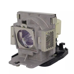Rich Visual Projector Lamp SP-LAMP-040 for INFOCUS XS1 Lampe Original