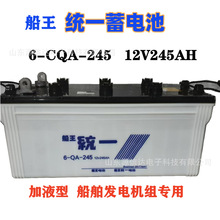6-CQA-245yһN245늳12V245AHl늙CM