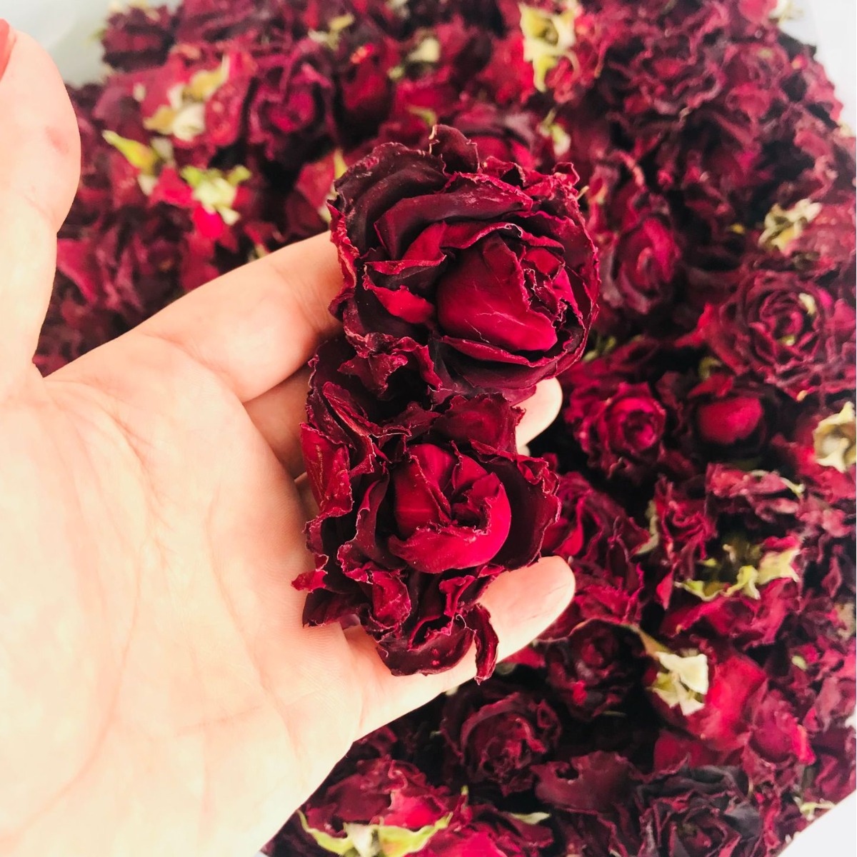 墨红玫瑰冻干花低温冷冻 食用玫瑰花茶云南玫瑰花冠厂家直发