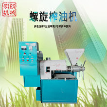 榨油机商用油坊 家用大型大豆冷榨机125全自动油菜籽榨油机多少钱