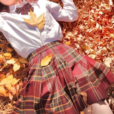 Городяга (белая рубашка с короткими рукавами + клетчатая юбка + галстук-бабочка)