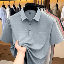 2026�ļ��¿�������t��������������ڴ�����polo������һ������
