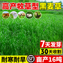 MͺݷNӶݷNļuZiţ~ݷN