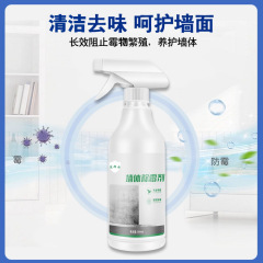 墙体墙面除霉剂发霉防霉喷雾去霉菌家用白墙面瓷砖缝清洁清除剂
