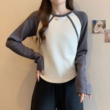 928]2025ﶬLtŮrָ߼ȴ