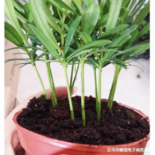 ������ֱ�������l̨���_�h�ɣ�90���Gֲ����΢���辰�k��������