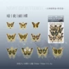 Night butterfly