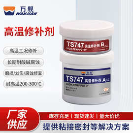 批发TS747高温修补胶磨损划伤修复胶水金属裂痕缺陷沙眼修补剂