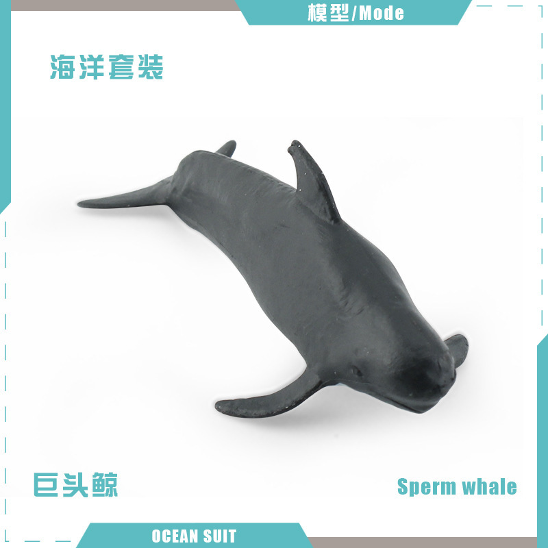 Ballena BL-5297 6G